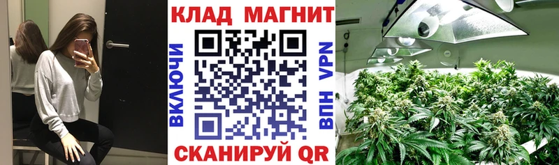 Какие есть наркотики Новошахтинск Бошки Шишки COCAIN Гашиш Псилоцибиновые грибы Мефедрон Alpha-PVP
