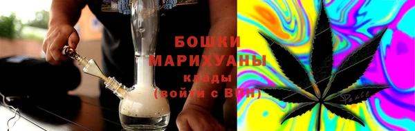 индика Аркадак