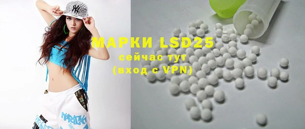 индика Аркадак