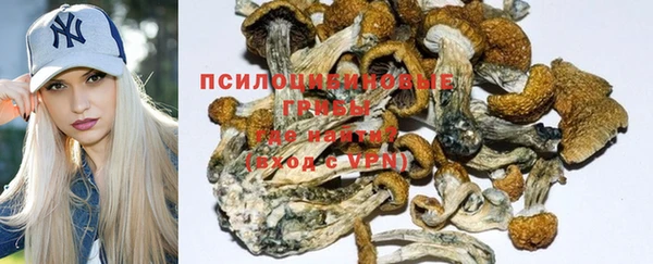 каннабис Арсеньев