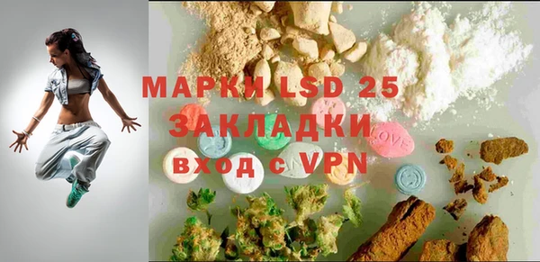 индика Аркадак