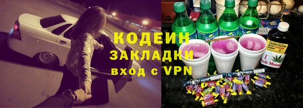 индика Аркадак