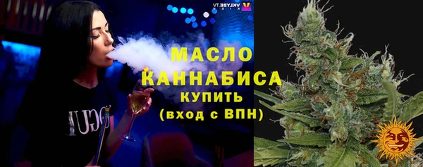индика Аркадак