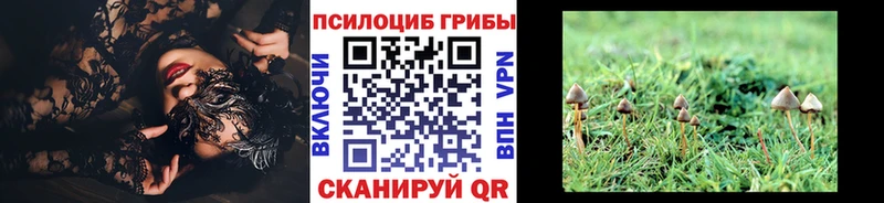 Псилоцибиновые грибы MAGIC MUSHROOMS  где найти наркотики  Новошахтинск 