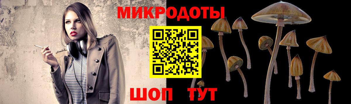 Новошахтинск  купить наркоту  Вход с VPN  Галлюциногенные грибы Magic Shrooms  Галлюциногенные грибы MAGIC MUSHROOMS 